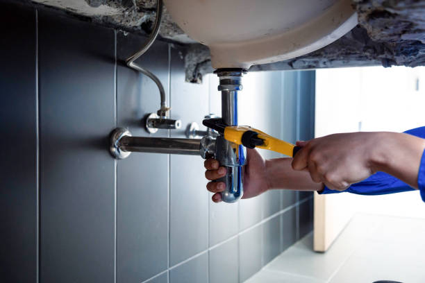 Best Commercial Plumbing Services  in Bloomville, OH